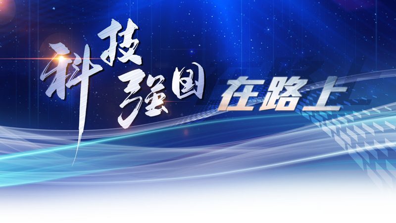 医疗行业数据服务与数据中台：本质区别与应用解析